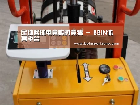 BBIN下载案例展示三