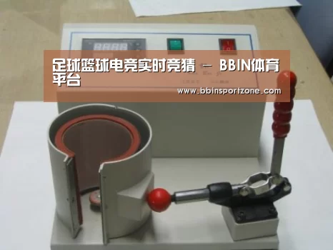 BBIN下载案例展示六