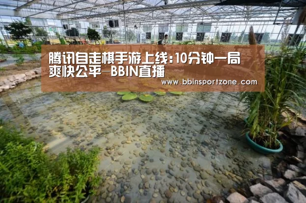 腾讯自走棋手游上线:10分钟一局 爽快公平-BBIN直播(图4) BBIN下载