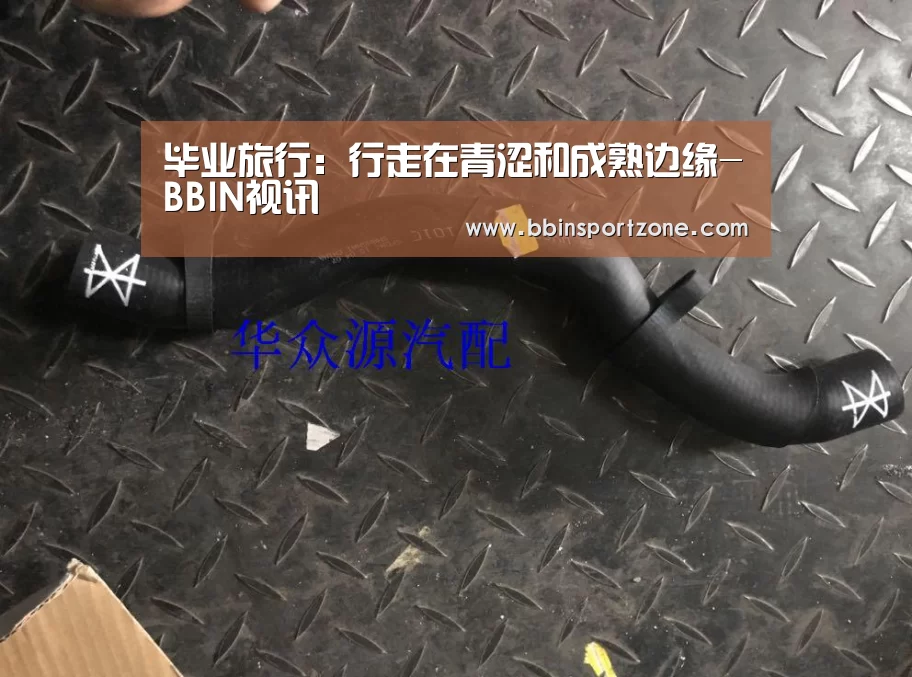 毕业旅行:行走在青涩和成熟边缘-BBIN视讯(图2) BBIN视讯