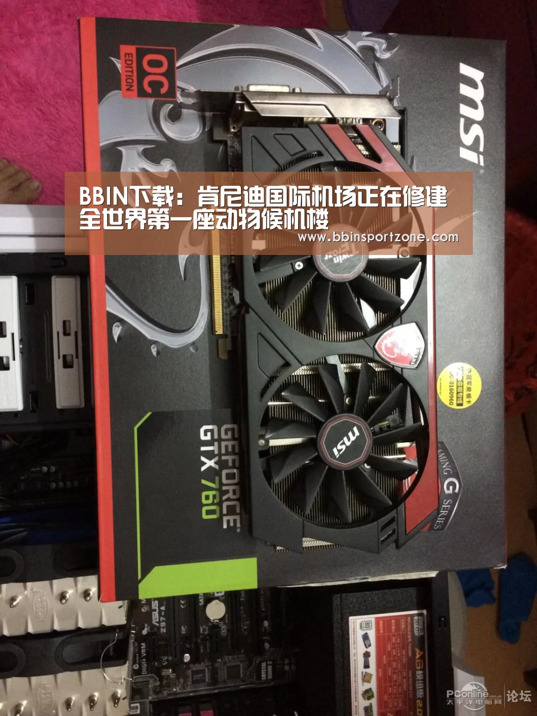 BBIN下载:肯尼迪国际机场正在修建全世界第一座动物候机楼(图3) BBIN下载