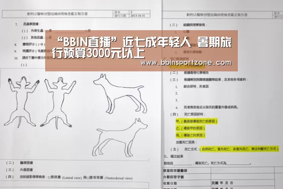 “BBIN直播”近七成年轻人 暑期旅行预算3000元以上(图1) BBIN官网