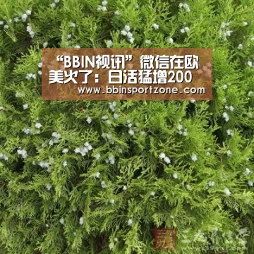 “BBIN视讯”微信在欧美火了:日活猛增200%(图4) BBIN官网