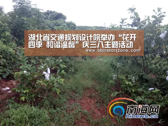 湖北省交通规划设计院举办“花开四季 和谐温馨”庆三八主题活动【BBIN视讯】(图2) BBIN官网