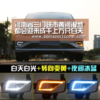河南省三门峡市黄河湿地都会迎来成千上万只白天鹅-BBIN下载(图3) BBIN下载