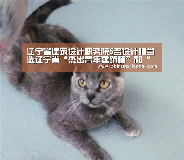 辽宁省建筑设计研究院5名设计师当选辽宁省“杰出青年建筑师”和“杰出青年勘察设计工程师”“BBIN视讯”(图1) BBIN视讯