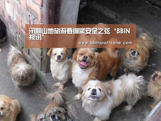 汛期山地旅游要绷紧安全之弦‘BBIN视讯’(图3) BBIN官网